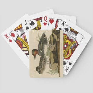American Green winged Teal from Audubon's Bird Playing Cards