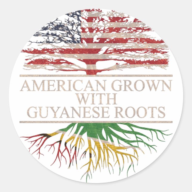 American grown with guyanese roots classic round sticker (Front)