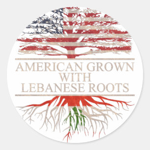 American grown with lebanese roots classic round sticker