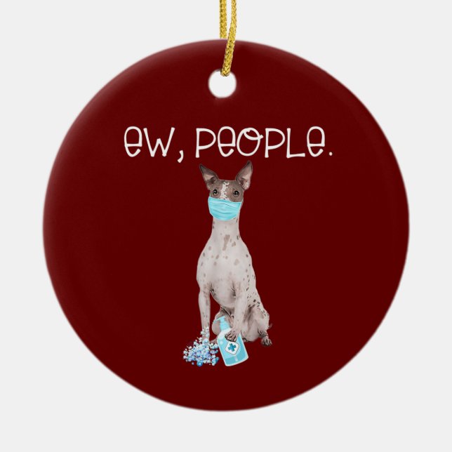 American Hairless Terrier Ew People Dog Wearing Ceramic Ornament (Front)