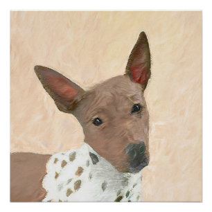 American Hairless Terrier Painting - Dog Art Poster
