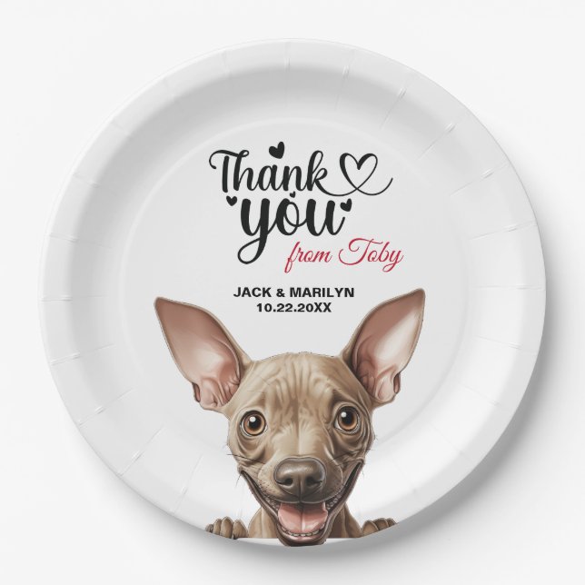 American Hairless Terrier Paper Plate (Front)