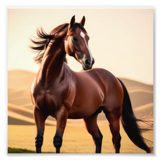 American horse photo print