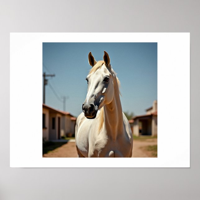 American horse  poster (Front)
