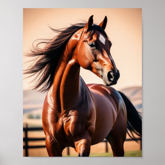American horse poster (Front)