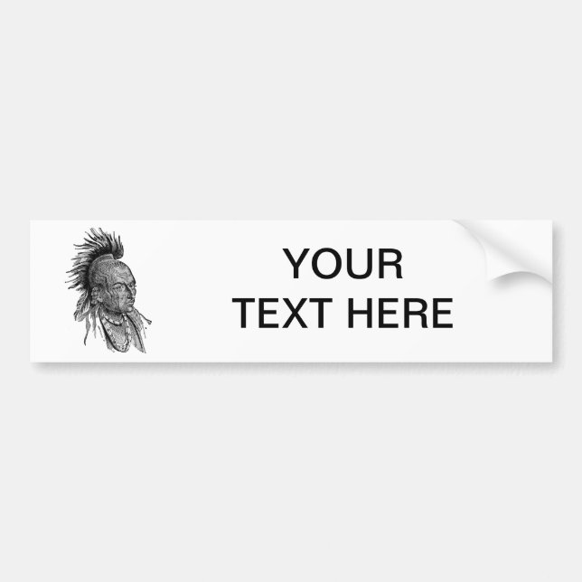 American Indian Bumper Sticker (Front)