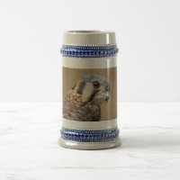 American Kestrel