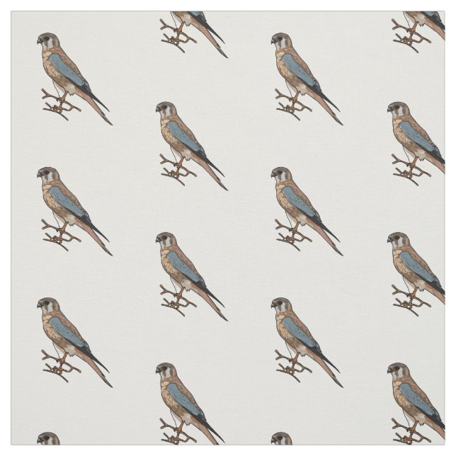 American kestrel bird cartoon illustration  fabric (Swatch)