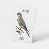 American kestrel bird cartoon illustration