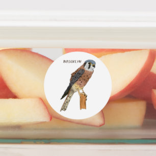 American Kestrel bird illustration