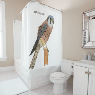 American Kestrel bird illustration