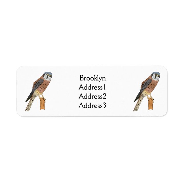 American Kestrel bird illustration  (Front)