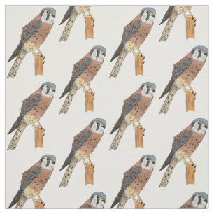 American Kestrel bird illustration  Fabric