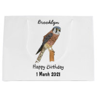 American Kestrel bird illustration