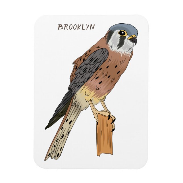 American Kestrel bird illustration Magnet (Vertical)
