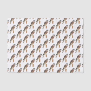 American Kestrel bird illustration Tissue Paper