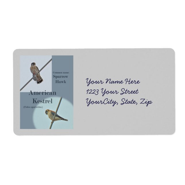 American Kestrel (Falco sparverius) Items (Front)
