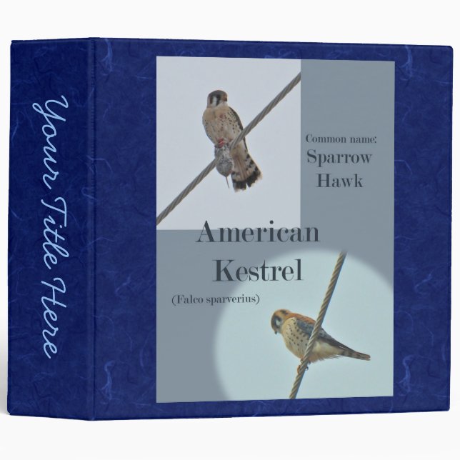 American Kestrel (Falco sparverius) Items Binder (Front/Spine)