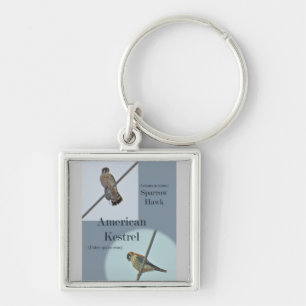 American Kestrel (Falco sparverius) Items Keychain