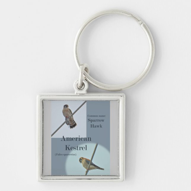 American Kestrel (Falco sparverius) Items Keychain (Front)
