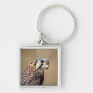 American Kestrel Keychain