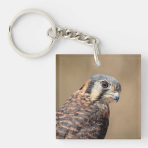 American Kestrel Keychain