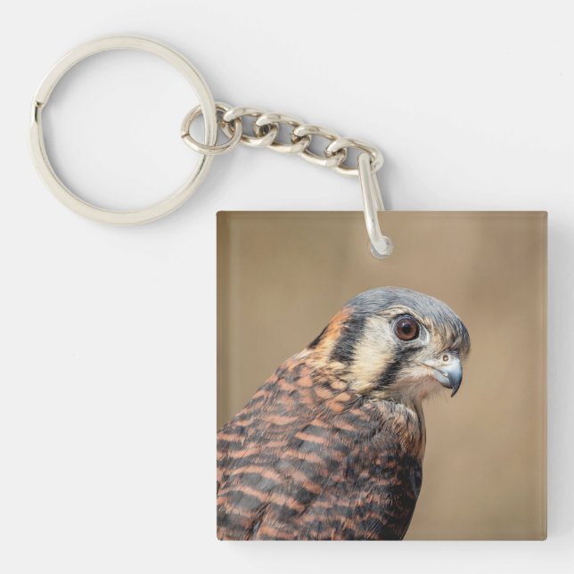 American Kestrel Keychain (Front)