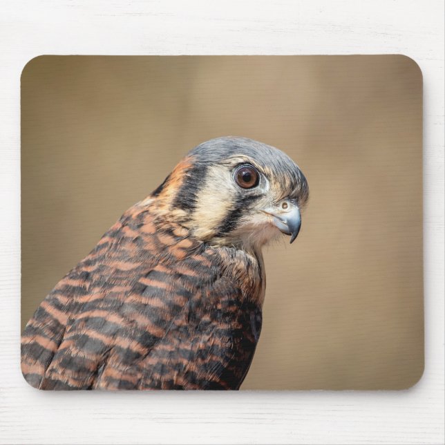 American Kestrel Mouse Pad (Front)