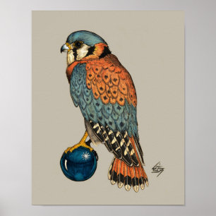 American Kestrel on a blue glass ball Poster