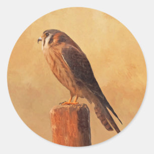 American Kestrel Painting - Original Bird Art Classic Round Sticker