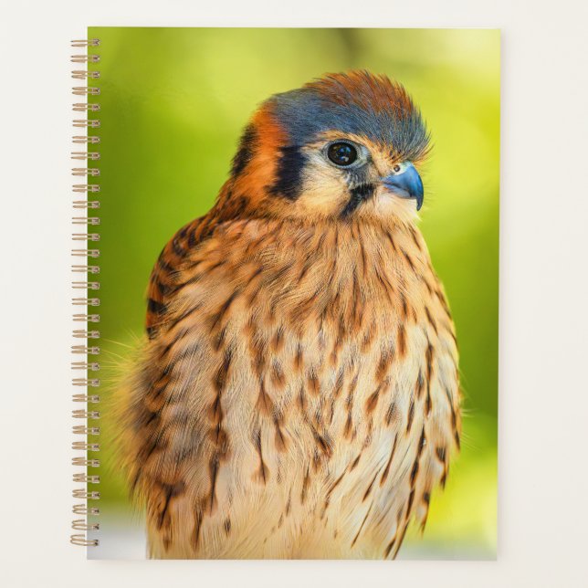 American Kestrel Planner | Falcon Wildlife (Front)