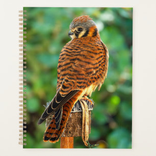 American Kestrel Planner Wildlife Daily Organizer