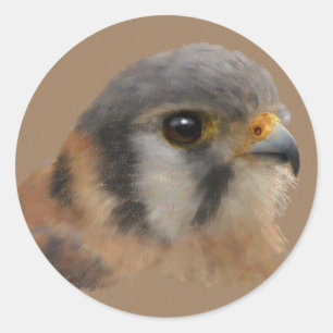 American Kestrel Portrait Classic Round Sticker