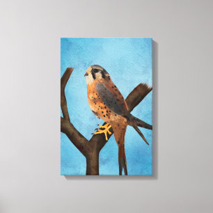 American Kestrel Watercolor Bird Art Canvas Print