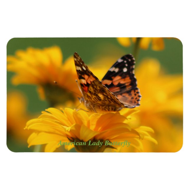 American Lady Butterfly Magnet (Horizontal)