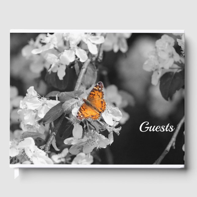 American Lady Butterfly On Blossom Guest Book (Front)