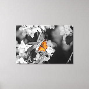 American Lady Butterfly Stretched Canvas Print