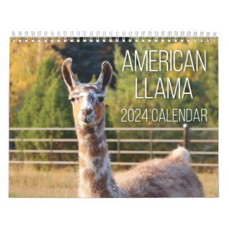 American Llama 2024 Calendar