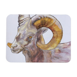 American Long Horn 2004 Magnet