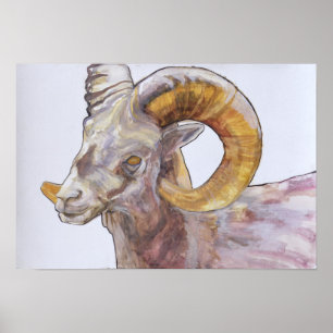 American Long Horn 2004 Poster