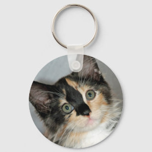 American Longhair Calico Shelter Kitten Keychain