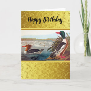 American mallard ducks in a lake swimming card