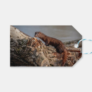 American Mink Gift Tags