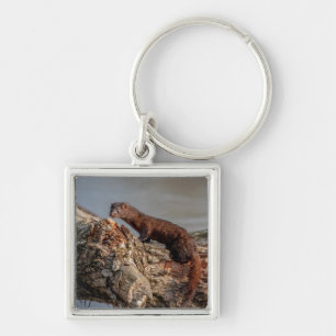 American Mink Keychain