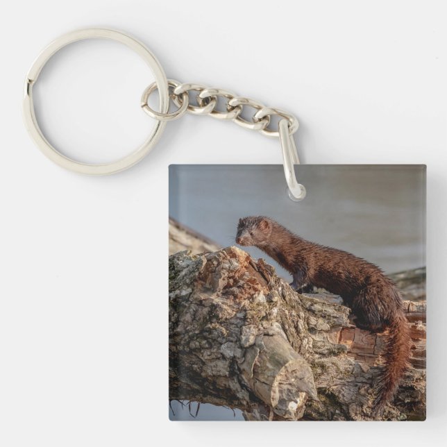 American Mink Keychain (Front)