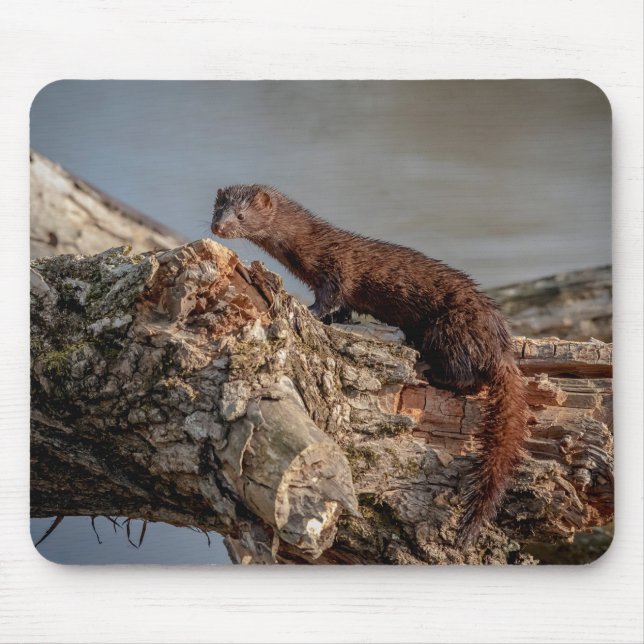 American Mink Mouse Pad (Front)