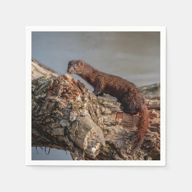 American Mink Napkin (Front)