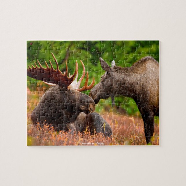 American Moose Jigsaw Puzzle (Horizontal)