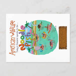 American Noodle Fish Postcard