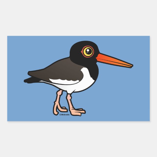 American Oystercatcher Sticker (Front)